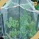 Sun Shade Netting White Or Any Colors As the Client's Requirments.factory 1