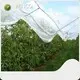 Garden Shade Net White Wholesale - WINCO 1