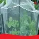 Plastic Cover the Samples Are Provided Free of Chargemanufacturer 1