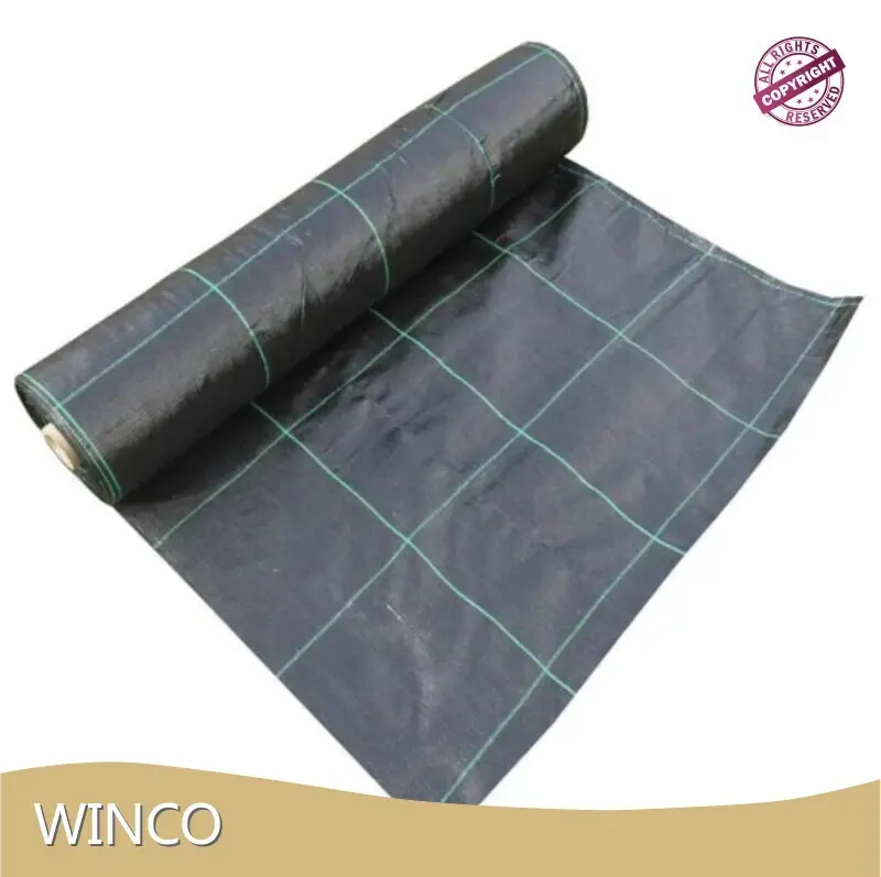 Plastic Packing Western Union 100 Rollsmanufacturer 1