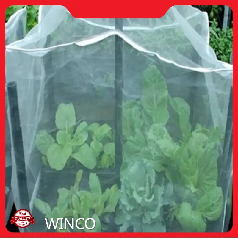 Customizable Wholesale Net Supplier 1