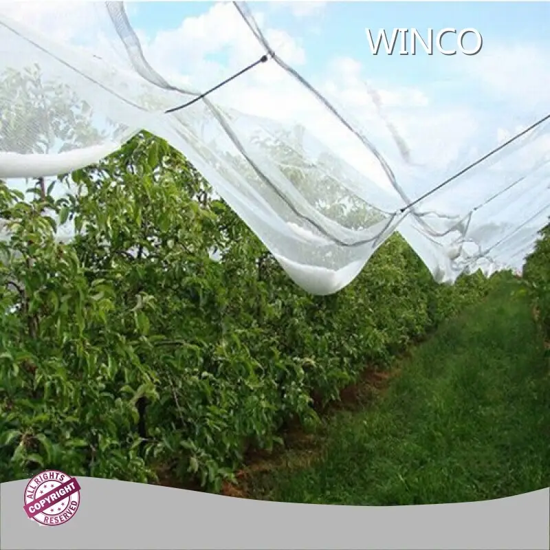 Shade Net Supplier 1000pcs - - WINCO 1