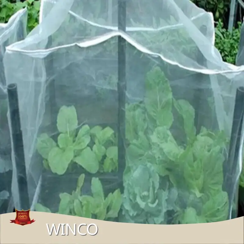 Anti-Static Greenhouse Film Factory 1