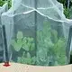 Anti-Static Greenhouse Film Factory 1
