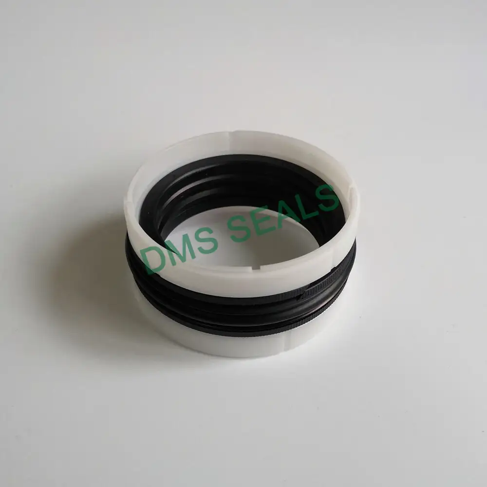Hydraulic Compact Piston Seal TPM Piston Seal Manufacturer 1
