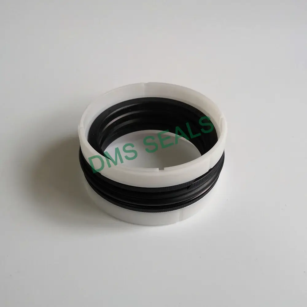 DMS Seals Quality gearbox seals manufacturers price for piston and hydraulic cylinder 1