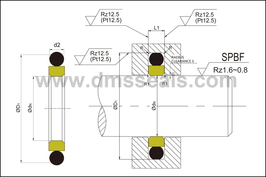 DMS Seals high end rod seal tool manufacturer for pressure work and sliding high speed occasions 2