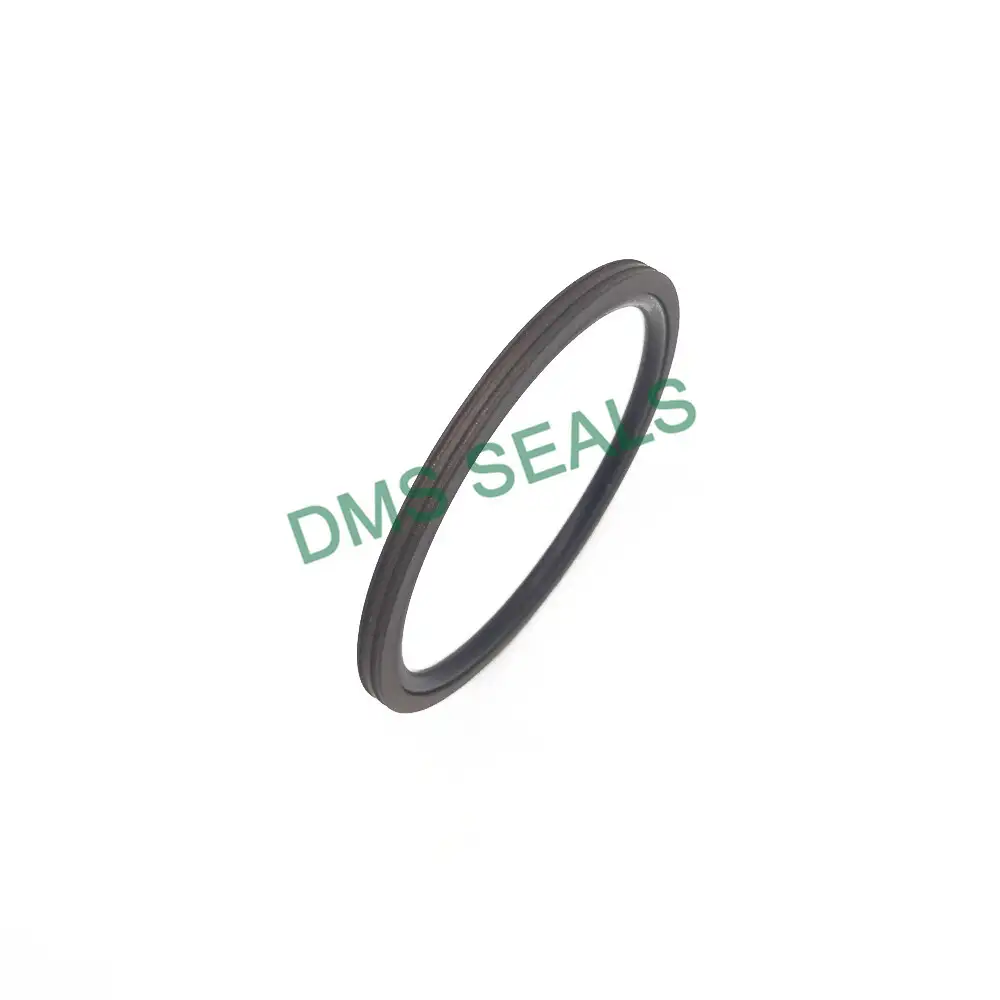 High Speed Cylinder Rotating PTFE Seals Gns 1