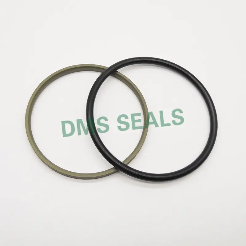 Hydraulic Rod Seals Water by DMS Seals 6