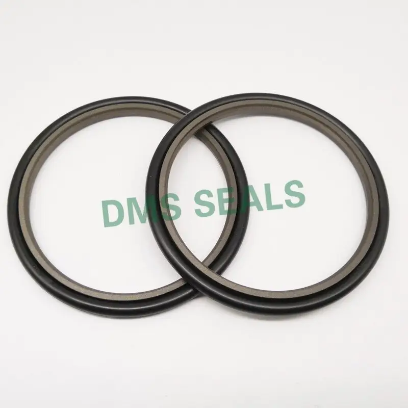 Hydraulic Rod Seals Water by DMS Seals 4