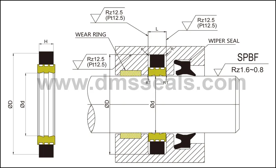 DMS Seal Manufacturer wheel seal manufacturers glyd ring for larger piston clearance 2