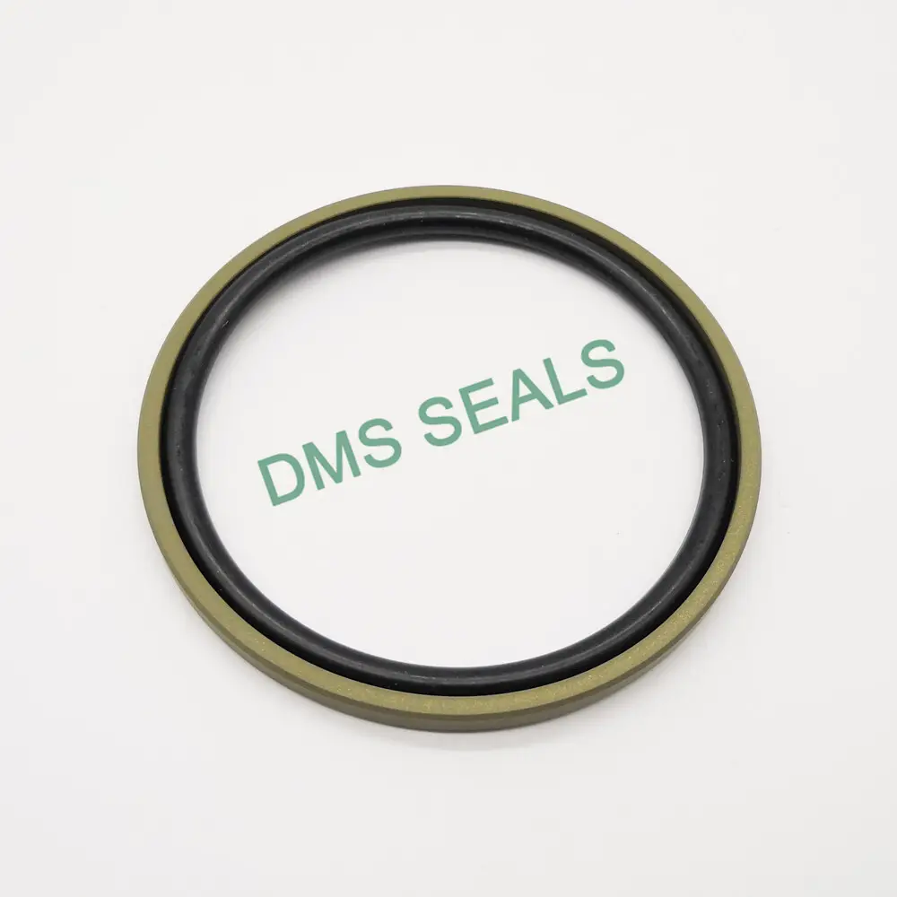 Top Selling Piston Seals Company 2
