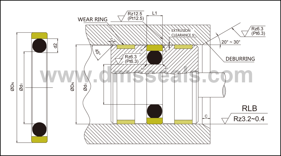 DMS Seal Manufacturer High-quality hydraulic pump oil seal manufacturers for light and medium hydraulic systems 2