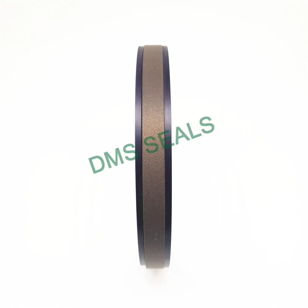 DMS Seals Oil Seal Ring -30℃ +100℃ Oil Seal RingSupply 7