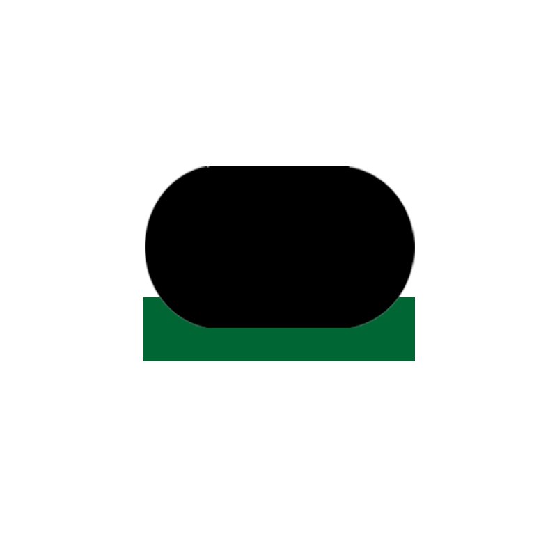 SPNC - PTFE Hydraulic Rod Seal with NBR/FKM O-Ring 1