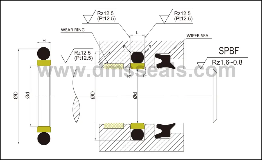 DMS Seal Manufacturer best hydraulic cylinder piston rings Supply to high and low speed 2