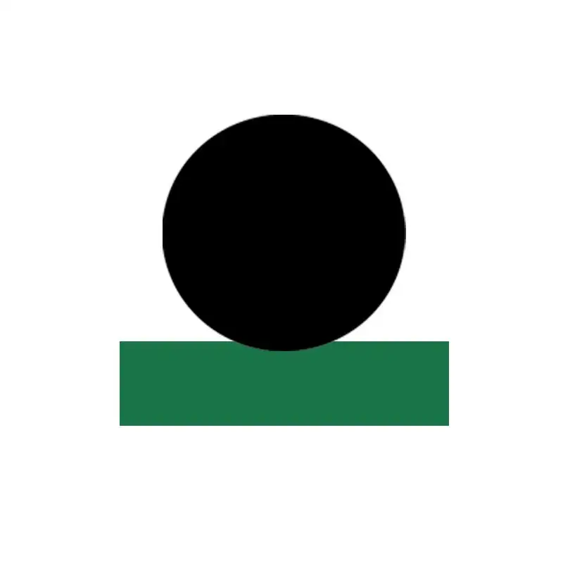 SPNO - Гидравлическое уплотнение штока из ПТФЭ с уплотнительным кольцом NBR/FKM 1
