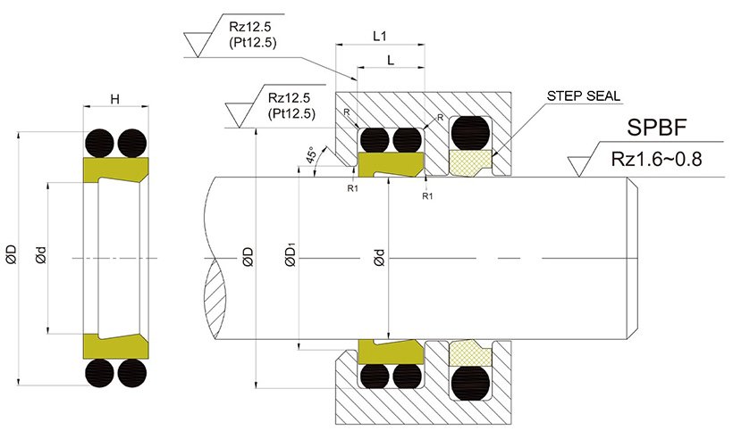 DMS Seal Manufacturer hydraulic cylinder seal design factory for cranes 2