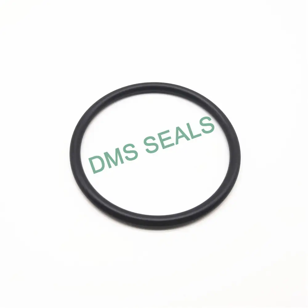 Manufacturer NBR70 NBR90 Nitrile Rubber Buna-N O-Ring 1