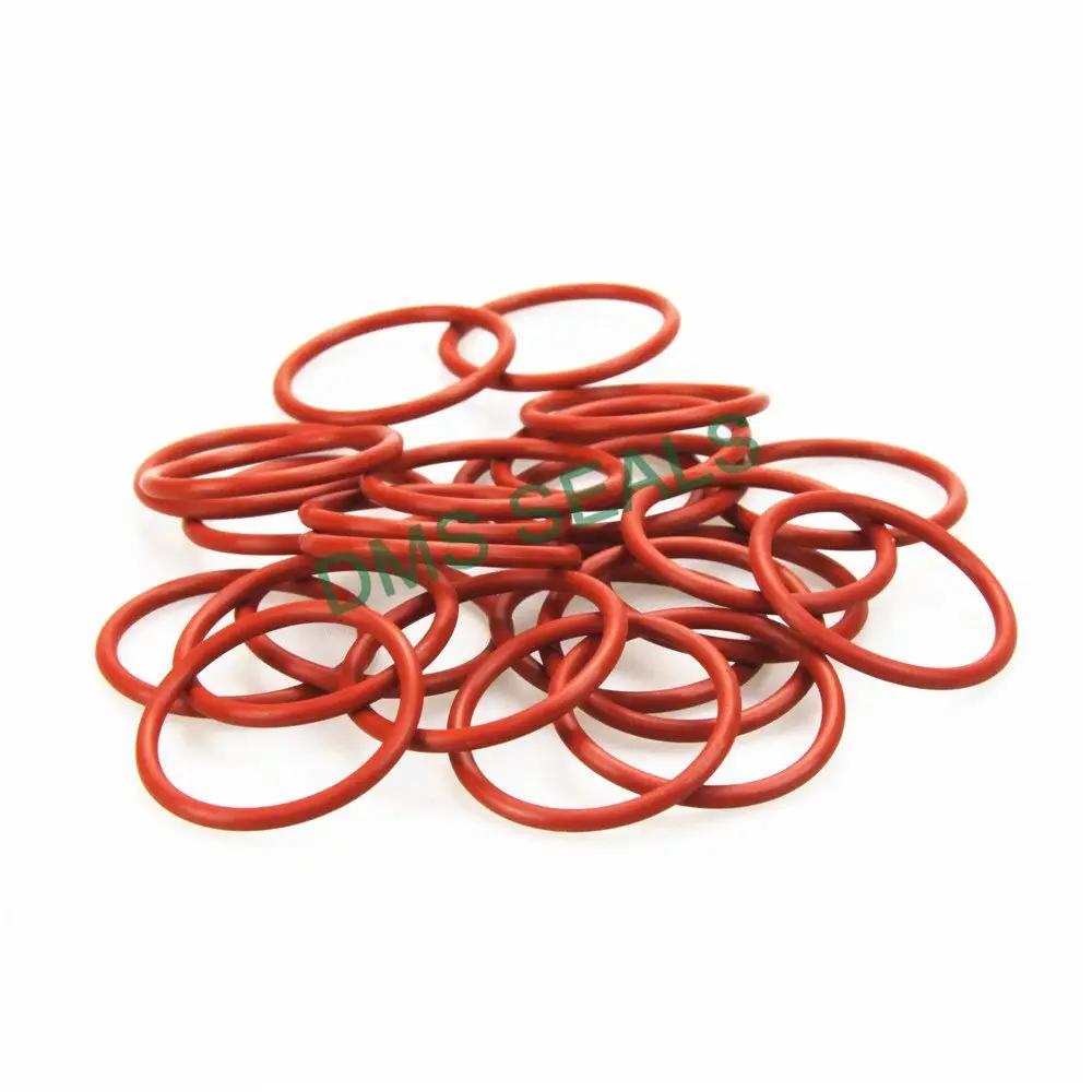 Custom Oil Seal Ring 2