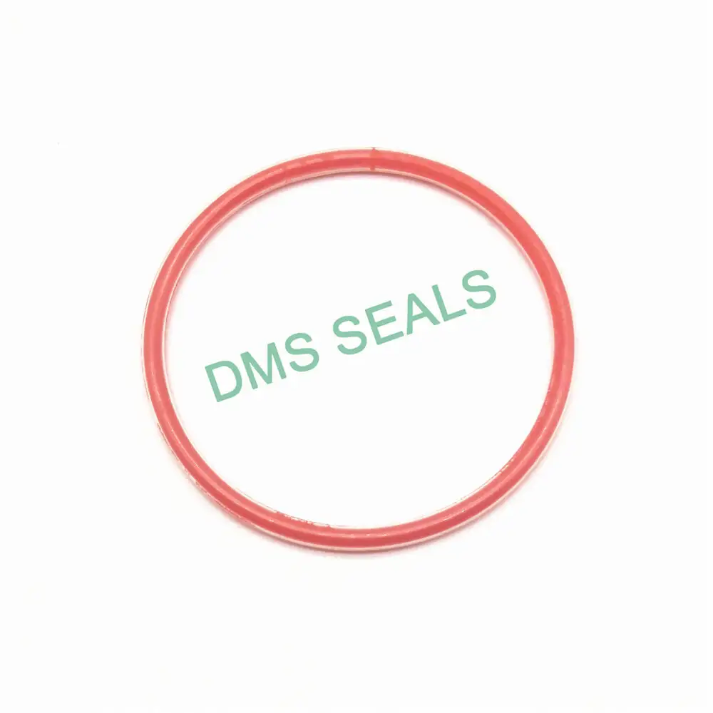 PTFE teflon FEP PFA encapsulated silicone O-Ring 1