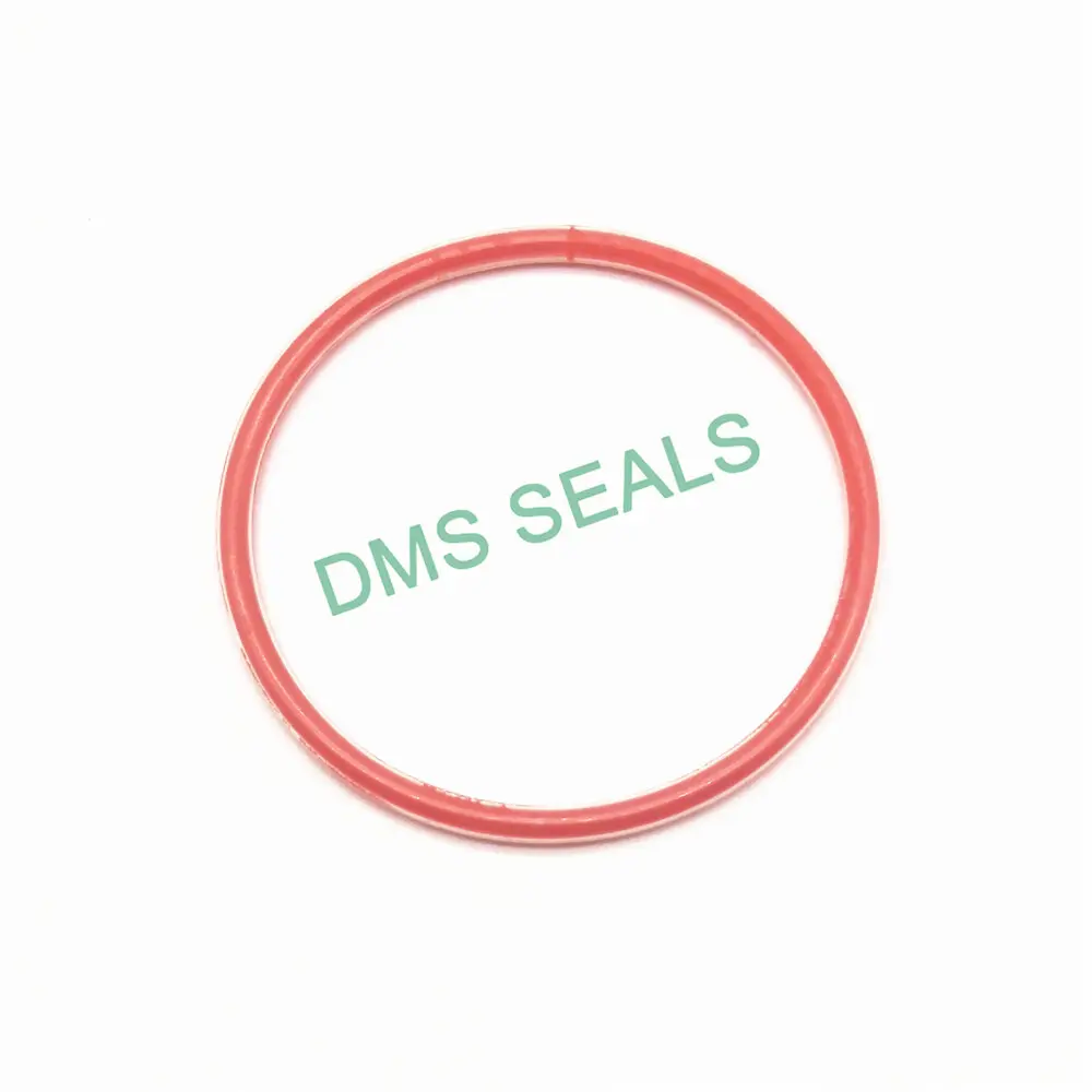 DMS Seal Manufacturer PTFE encapsulated silicone O-Rings O-RINGS image3