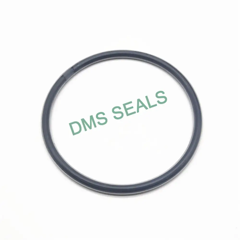 PTFE teflon FEP PFA encapsulated viton O-Ring 1