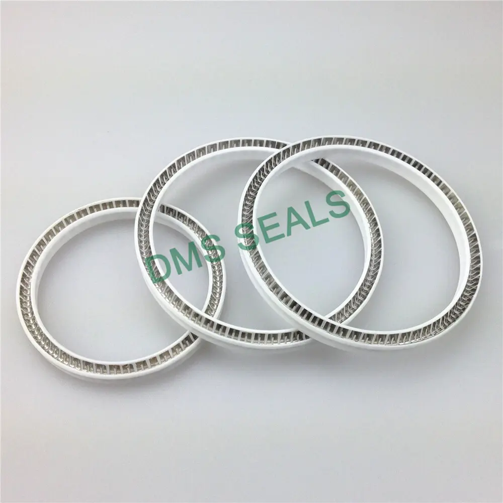Customized O-ring Seal Factory Price 5