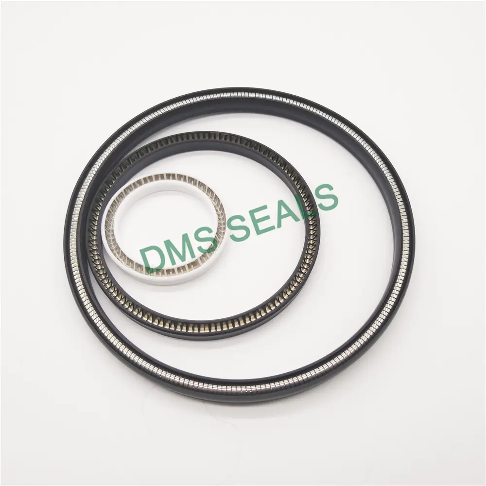 Shaft Oil Seals 15m/s - - DMS Seals 3