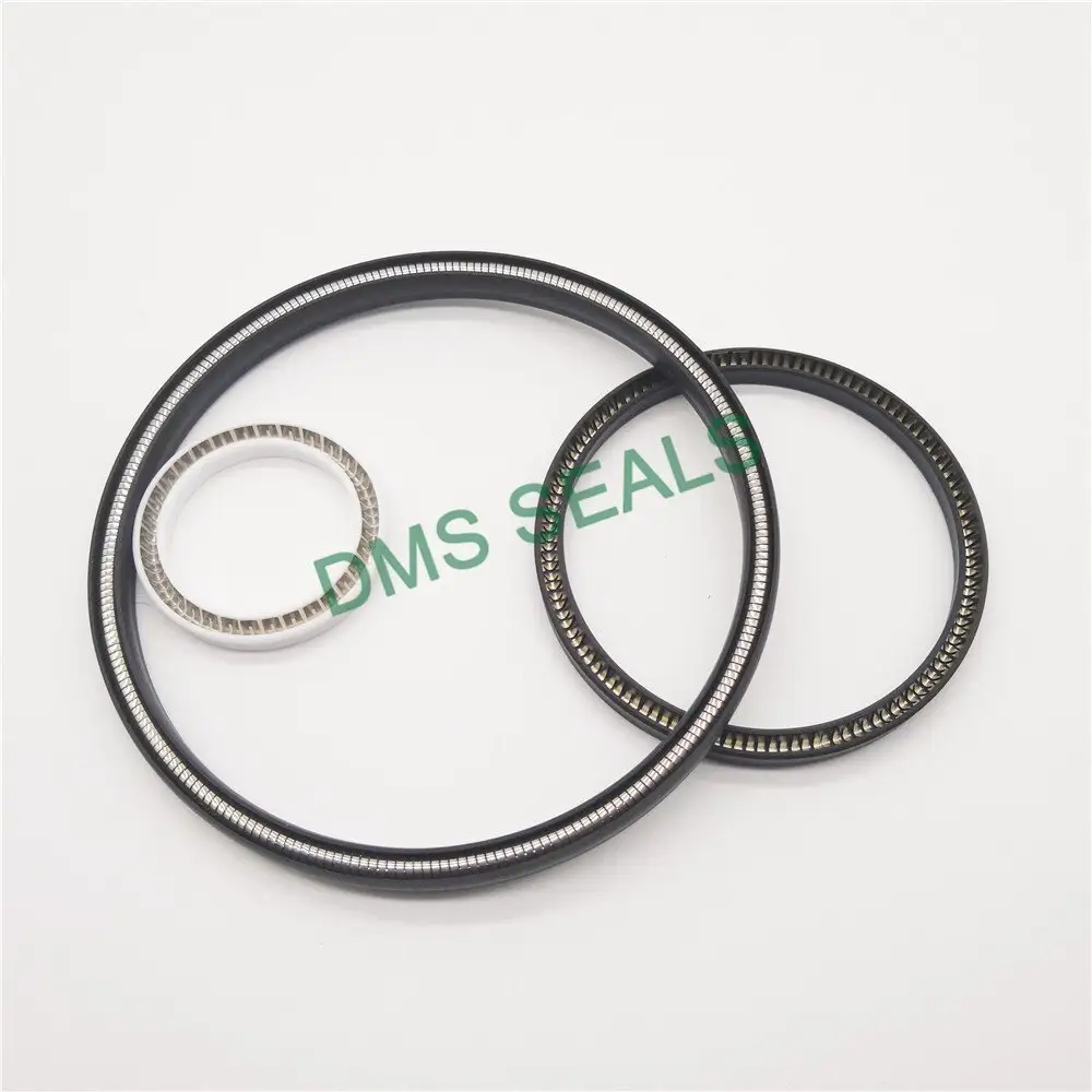 Shaft Oil Seals 15m/s - - DMS Seals 5