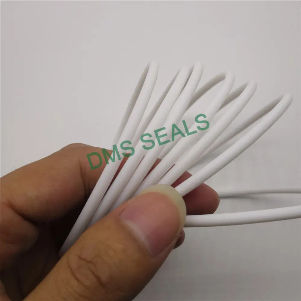 DMS Seals O Ring Manufacturers -40℃ +260℃Dealer 3