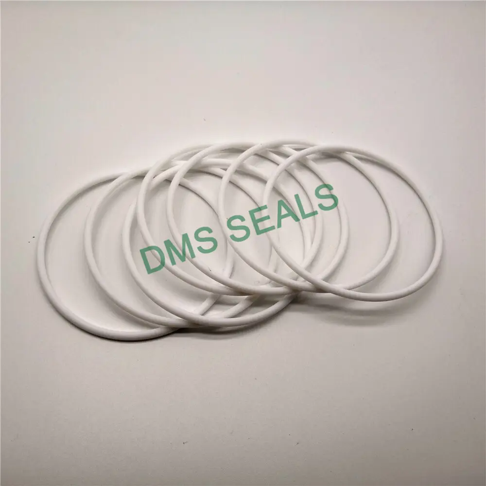DMS Seals O Ring Manufacturers -40℃ +260℃Dealer 5