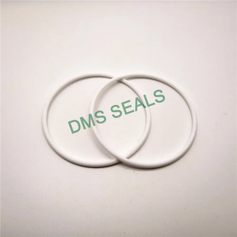 DMS Seals O Ring Manufacturers -40℃ +260℃Dealer 2