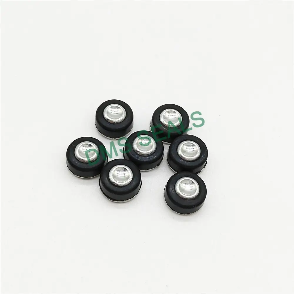 Metal and rubber plug seal for air bottle 1
