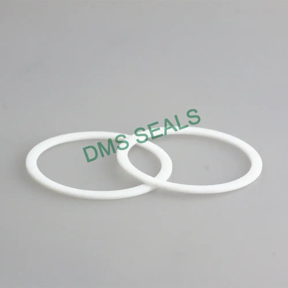 Virgin PTFE Back-Up Ring 1