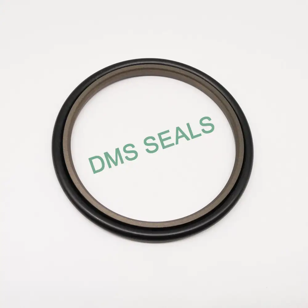 40% Bronze Filled PTFE Hydraulic Rod Seal Hydraulic Seal Suppliers 1