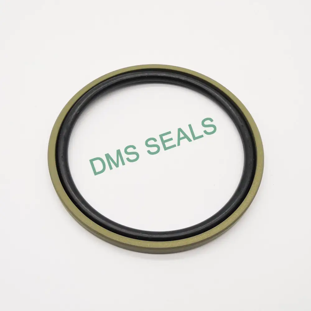 40% Bronze Filled PTFE Hydraulic Piston Glyd Ring Piston Seal Manufacturer 1