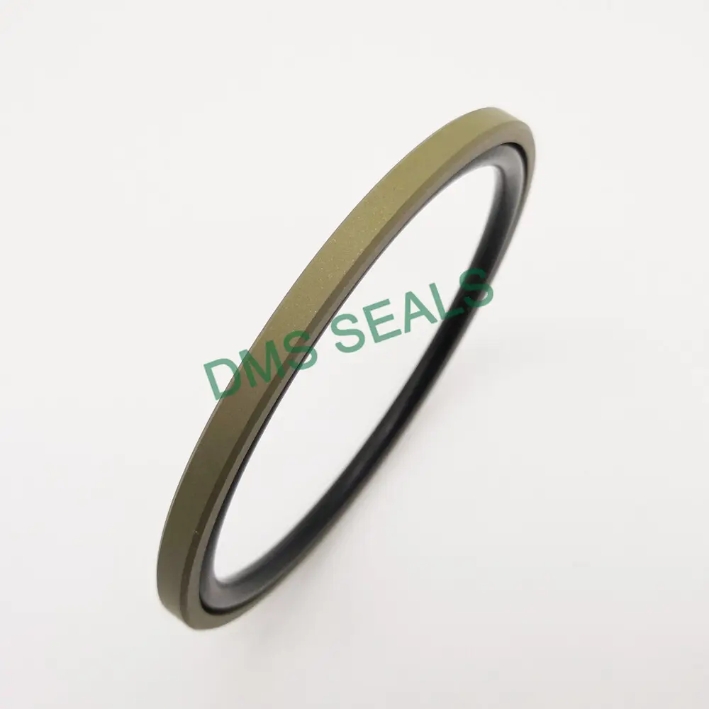 DMS Seals Oil Seal Manufacturers 0-60MPa Oil Seal Manufacturers Factory Price 2