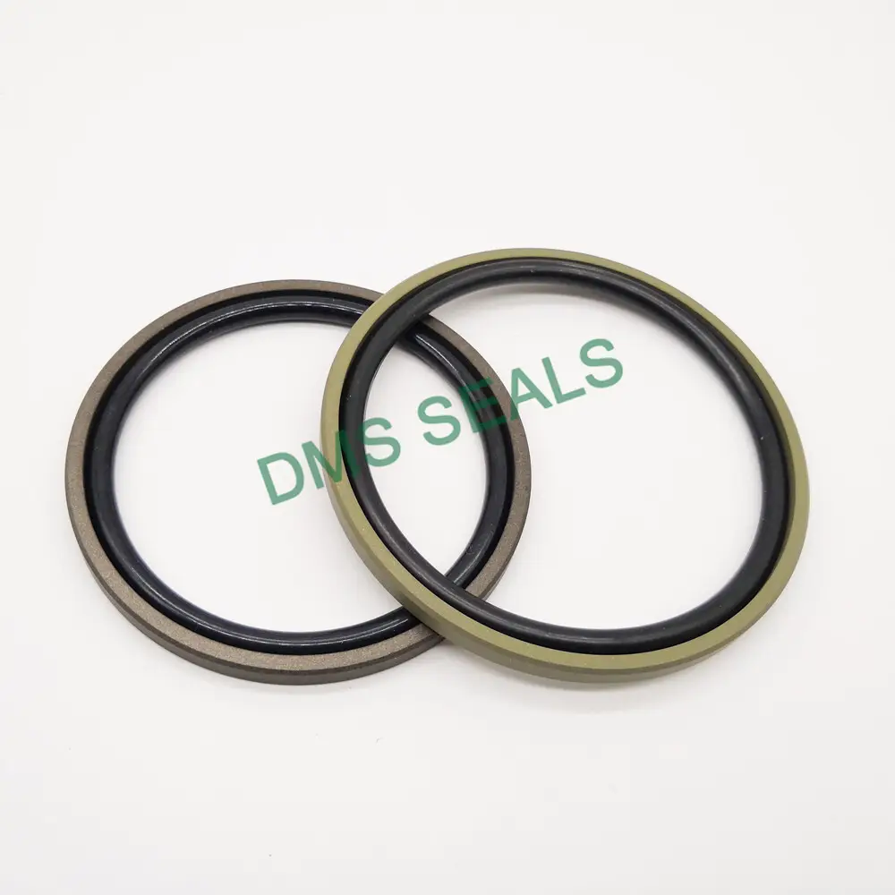 DMS Seals Oil Seal Manufacturers 0-60MPa Oil Seal Manufacturers Factory Price 5