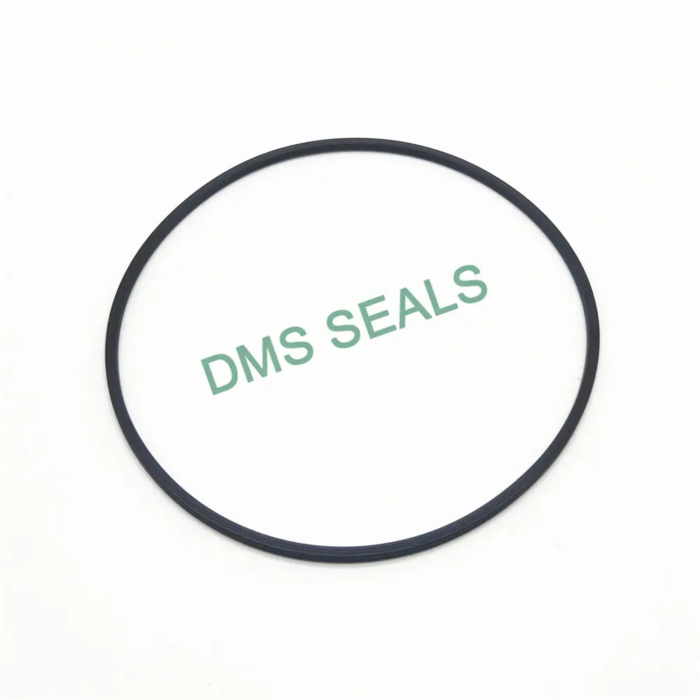 DMS Seals Top buy o rings locally manufacturers in highly aggressive chemical processing 2