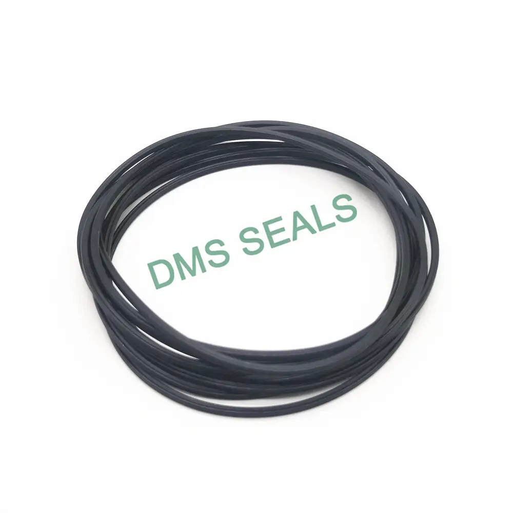 DMS Seals Top buy o rings locally manufacturers in highly aggressive chemical processing 3