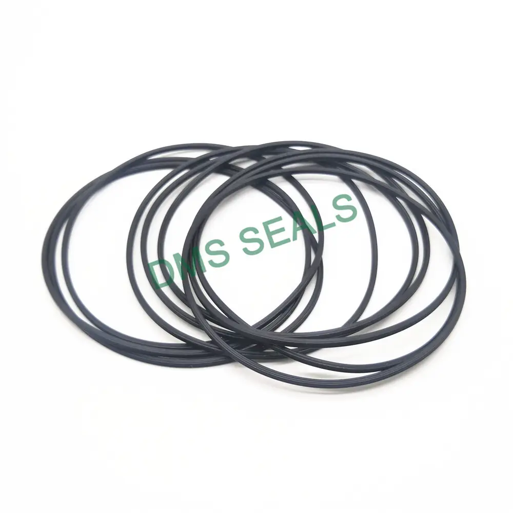 DMS Seals Top buy o rings locally manufacturers in highly aggressive chemical processing 4