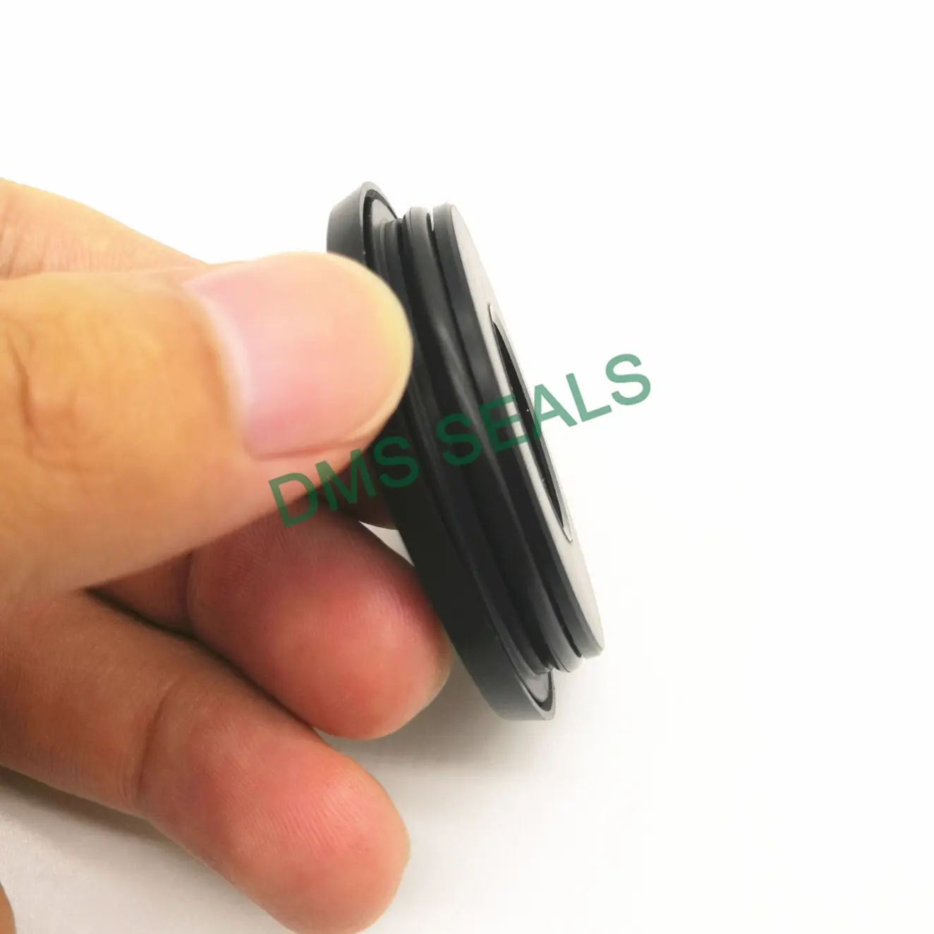 DMS Seal Manufacturer Array image551
