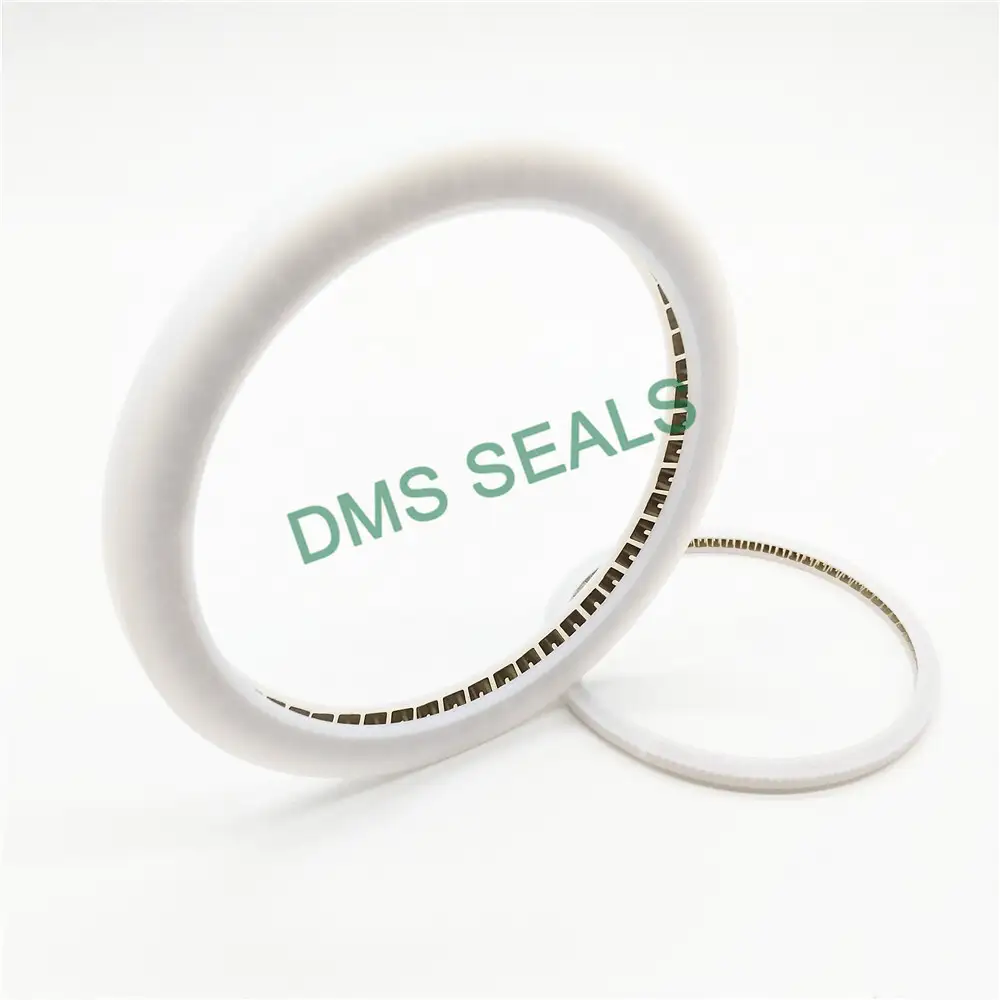 Internal face spring energized seal with PTFE material 1