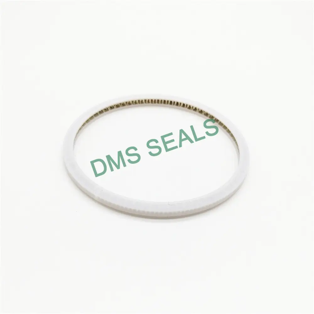 DMS Seals oil seal manufacturer wholesale for reciprocating piston rod or piston single acting seal1 3