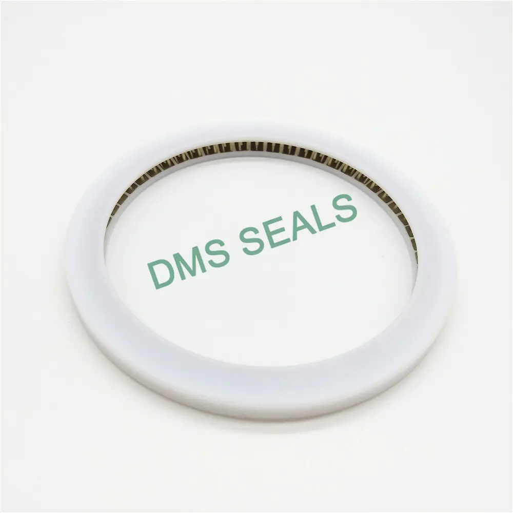 DMS Seals oil seal manufacturer wholesale for reciprocating piston rod or piston single acting seal1 4