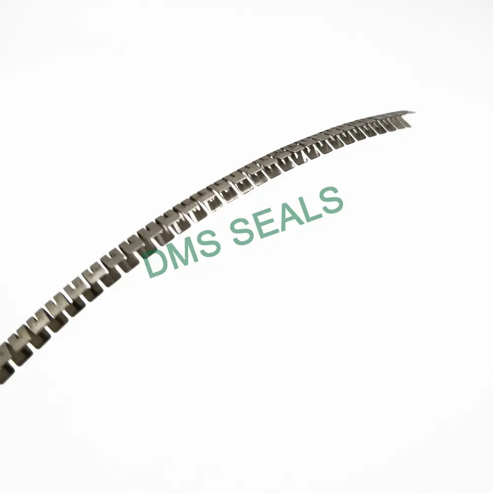 Stainless Steel Spring for Spring Energized Seal Variseal FSKR 1