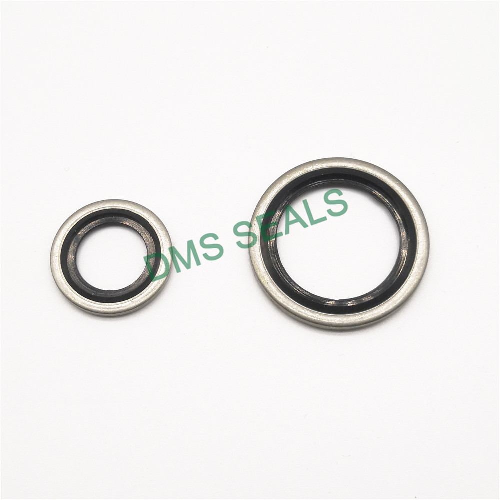 High Temperature Resistant SS316 Combination Gasket Bonded Seal 3
