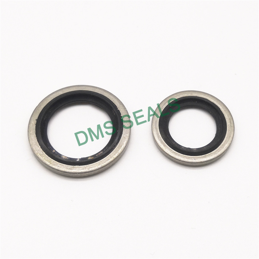 High Temperature Resistant SS316 Combination Gasket Bonded Seal 2