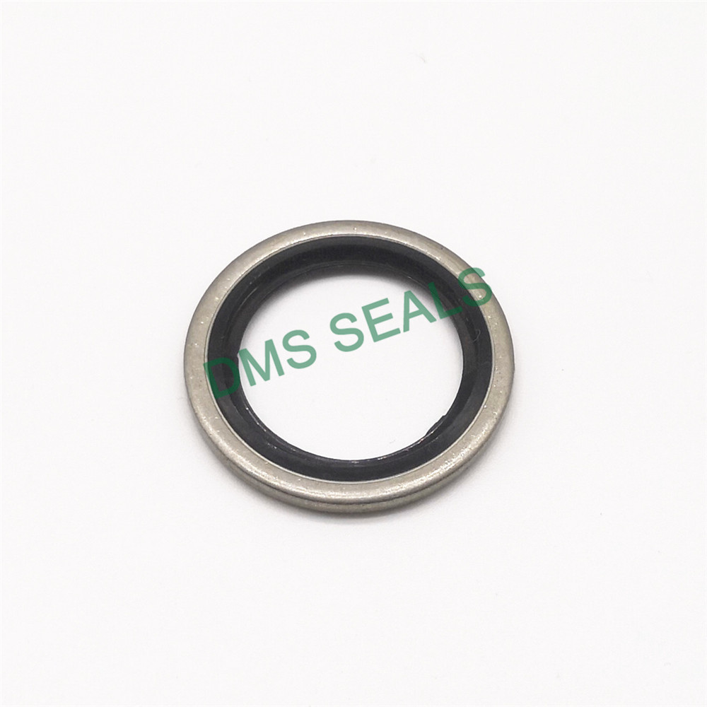 High Temperature Resistant SS316 Combination Gasket Bonded Seal 1